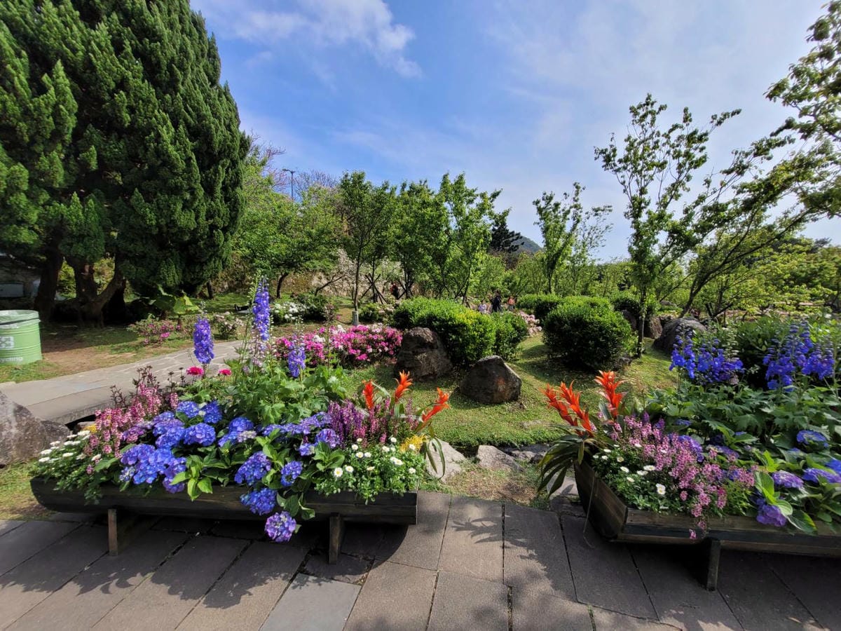台北景點｜2023台北花節 陽明山花季 陽明公園櫻花、杜鵑花齊開美景