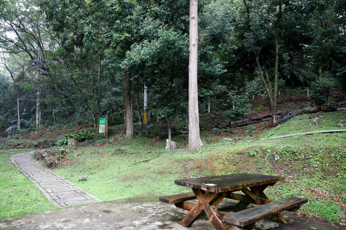 南投旅遊|蟬說:和社山林 入住臺大實驗林區,南投兩天一夜住宿推薦!順遊蟬說雅築 露天溫泉/羅娜部落 原民探索之旅/梅子夢工廠 - 第30張圖 南投旅遊|蟬說:和社山林 入住臺大實驗林區,南投兩天一夜住宿推薦!順遊蟬說雅築 露天溫泉/羅娜部落 原民探索之旅/梅子夢工廠