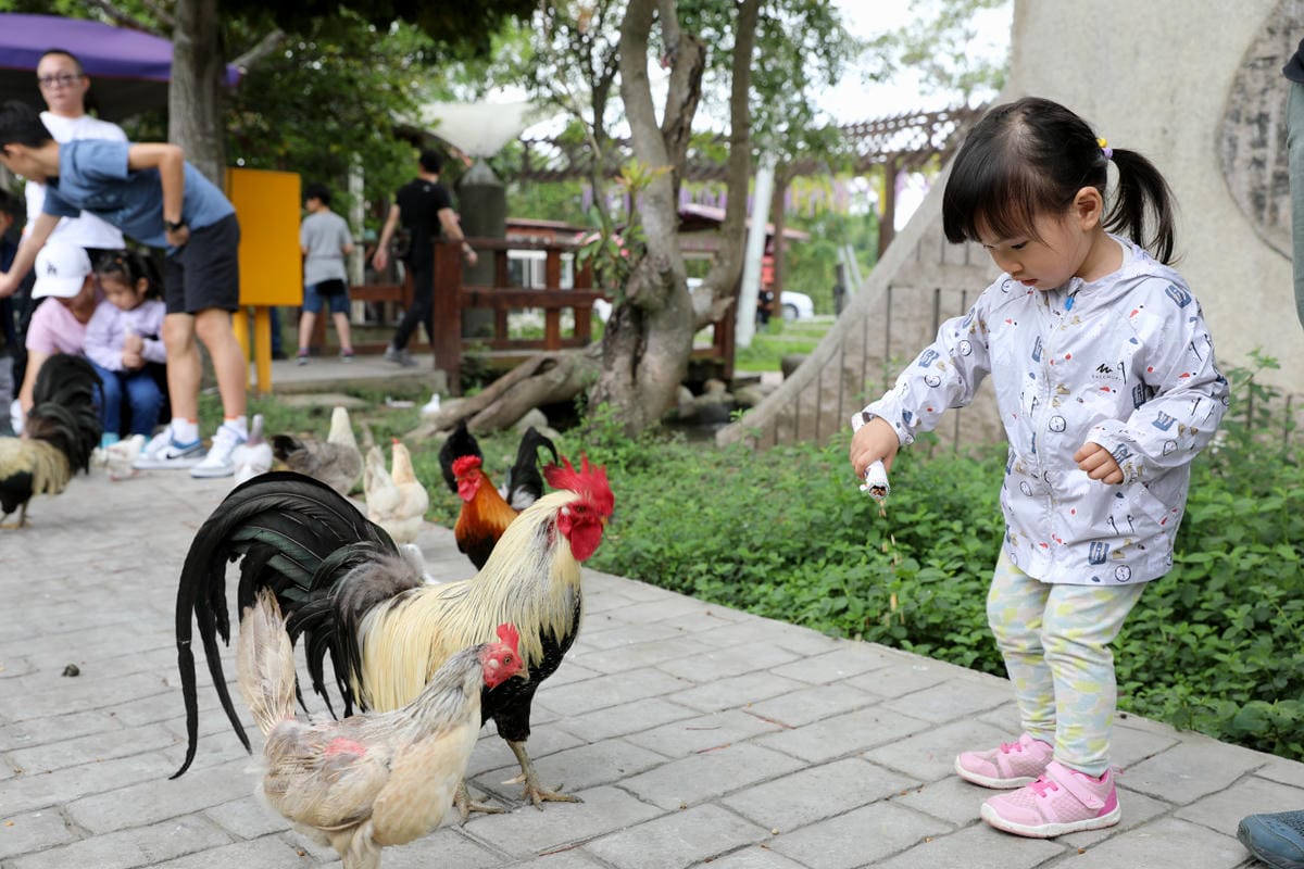 台中景點｜后里鐵馬道-隧道口租車中心，東豐自行車綠廊 爸媽輕鬆放電一日遊懶人包！超強續航力親子電動腳踏車，台中親子鐵馬遊推薦！