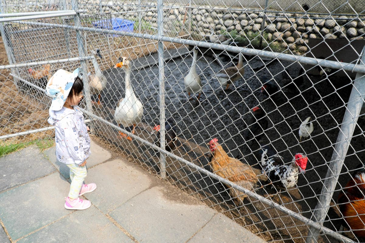 台中景點｜后里鐵馬道-隧道口租車中心，東豐自行車綠廊 爸媽輕鬆放電一日遊懶人包！超強續航力親子電動腳踏車，台中親子鐵馬遊推薦！