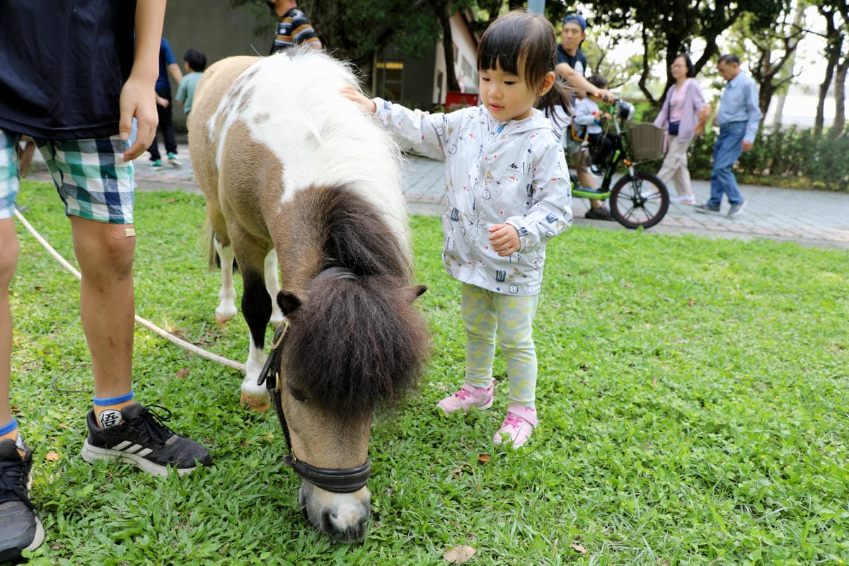 台中景點｜后里鐵馬道-隧道口租車中心，東豐自行車綠廊 爸媽輕鬆放電一日遊懶人包！超強續航力親子電動腳踏車，台中親子鐵馬遊推薦！