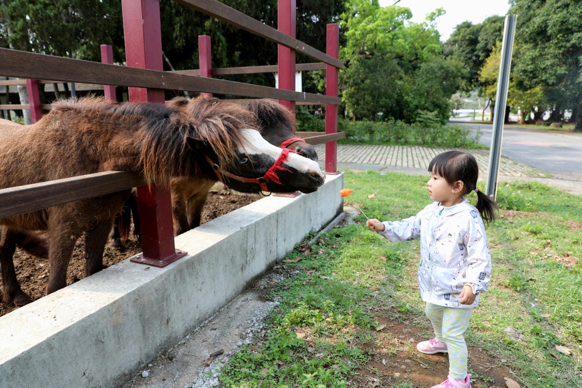 台中景點｜后里鐵馬道-隧道口租車中心，東豐自行車綠廊 爸媽輕鬆放電一日遊懶人包！超強續航力親子電動腳踏車，台中親子鐵馬遊推薦！