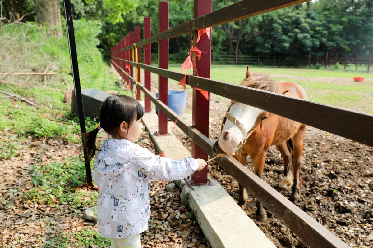 台中景點｜后里鐵馬道-隧道口租車中心，東豐自行車綠廊 爸媽輕鬆放電一日遊懶人包！超強續航力親子電動腳踏車，台中親子鐵馬遊推薦！