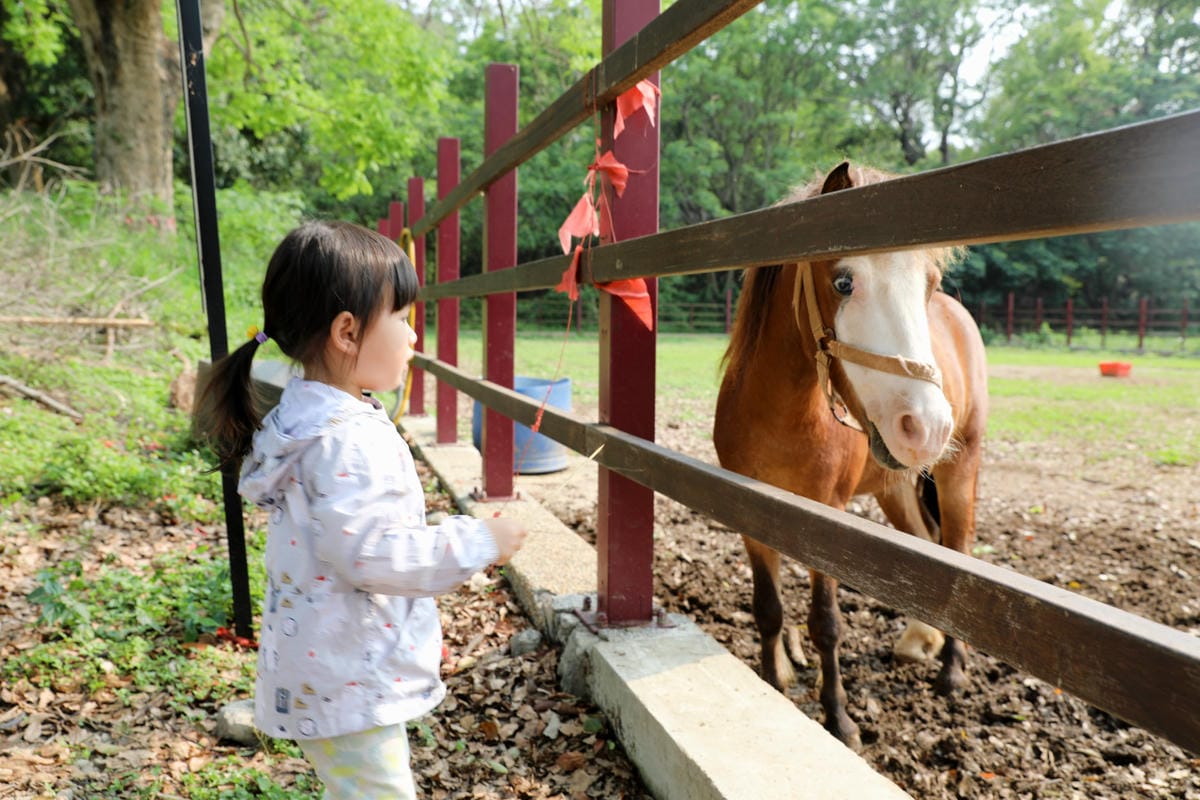 台中景點｜后里鐵馬道-隧道口租車中心，東豐自行車綠廊 爸媽輕鬆放電一日遊懶人包！超強續航力親子電動腳踏車，台中親子鐵馬遊推薦！