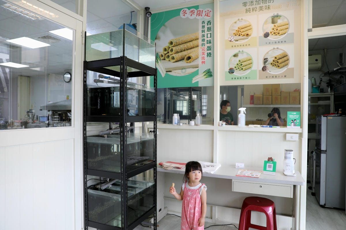 伴手禮｜嘉義伴手禮推薦！品香蛋捲 不加一滴水的現做蛋捲、真材實料鳳凰卷