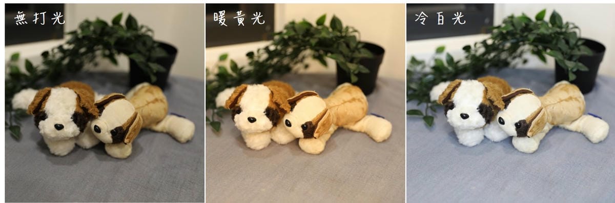 生活用品｜改善腰椎屁股不適的太空記憶棉紓壓椅墊、日本鍵庄海苔系列零嘴 ITAI ITAI＿痛經女子 最強日韓選物商品社團推薦！