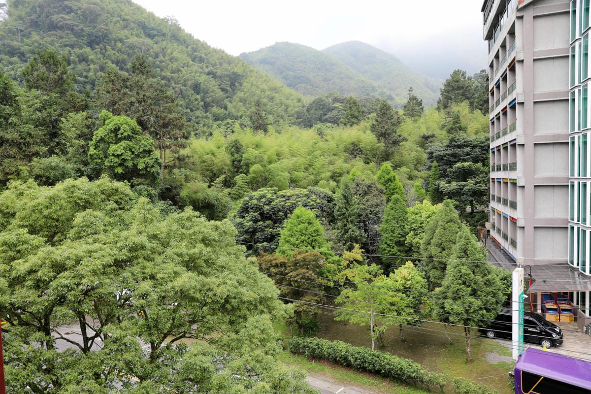 南投住宿｜溪頭民宿推薦！金台灣山莊 一泊二食小木屋+螢火蟲專案 每年4~6月賞螢導覽活動