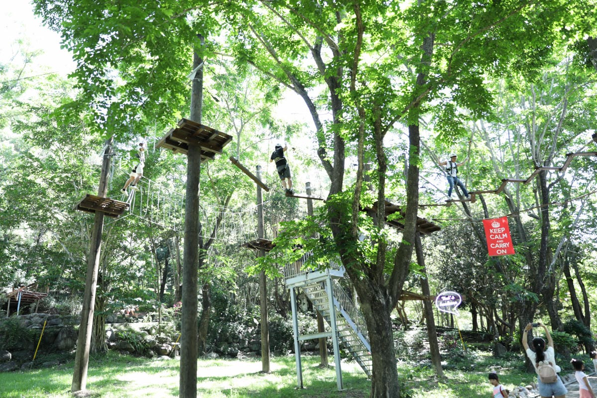 南投住宿｜泰雅渡假村 溫泉渡假飯店 守護木³島－高空繩索、手作DIY 南投親子旅遊首選推薦！