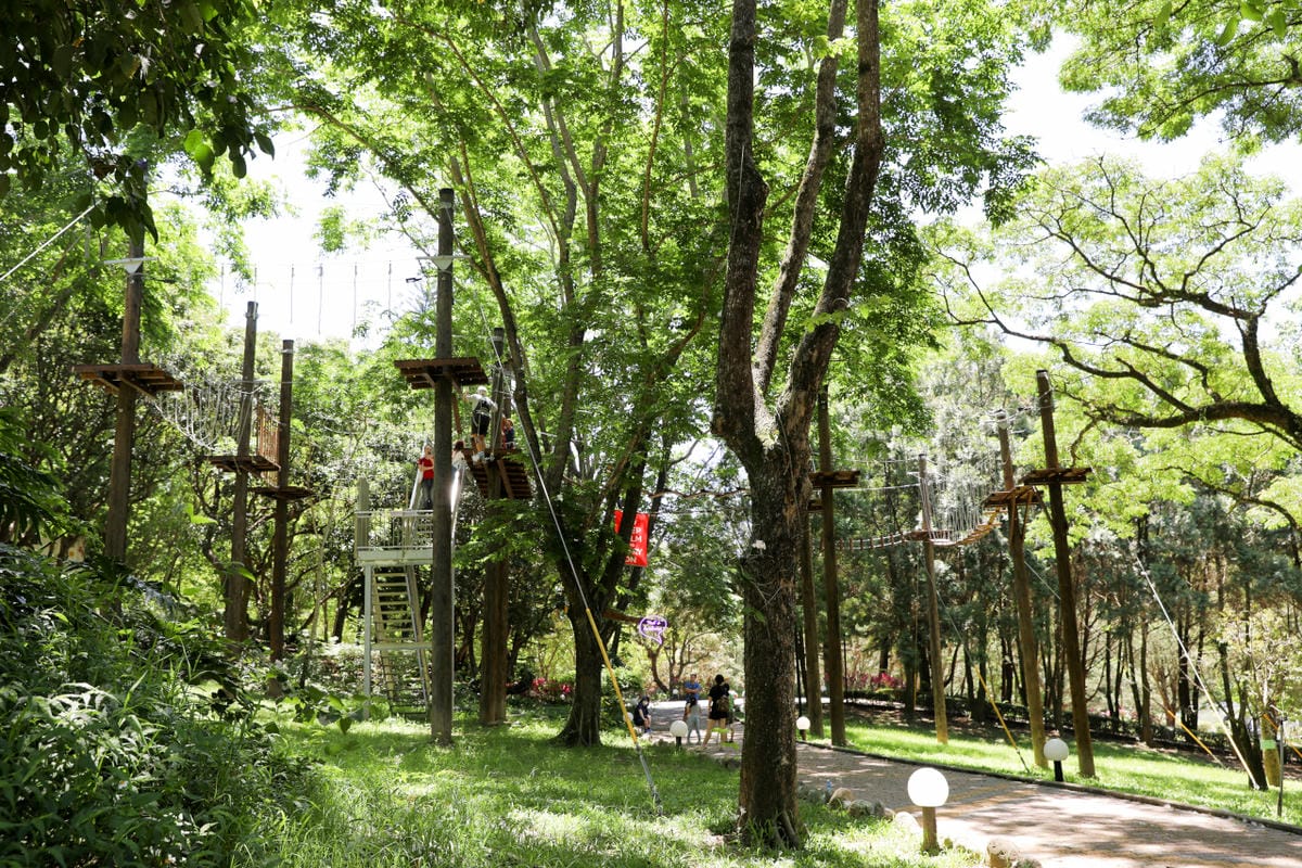南投住宿｜泰雅渡假村 溫泉渡假飯店 守護木³島－高空繩索、手作DIY 南投親子旅遊首選推薦！