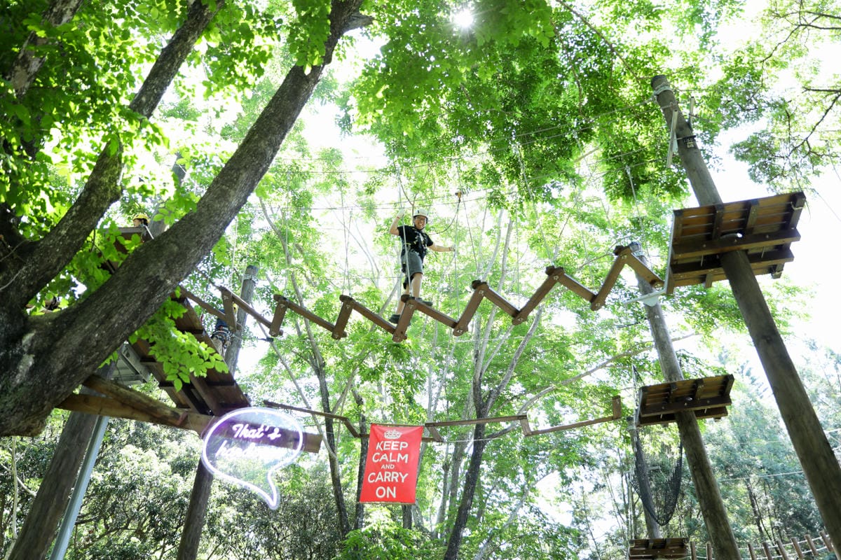 南投住宿｜泰雅渡假村 溫泉渡假飯店 守護木³島－高空繩索、手作DIY 南投親子旅遊首選推薦！