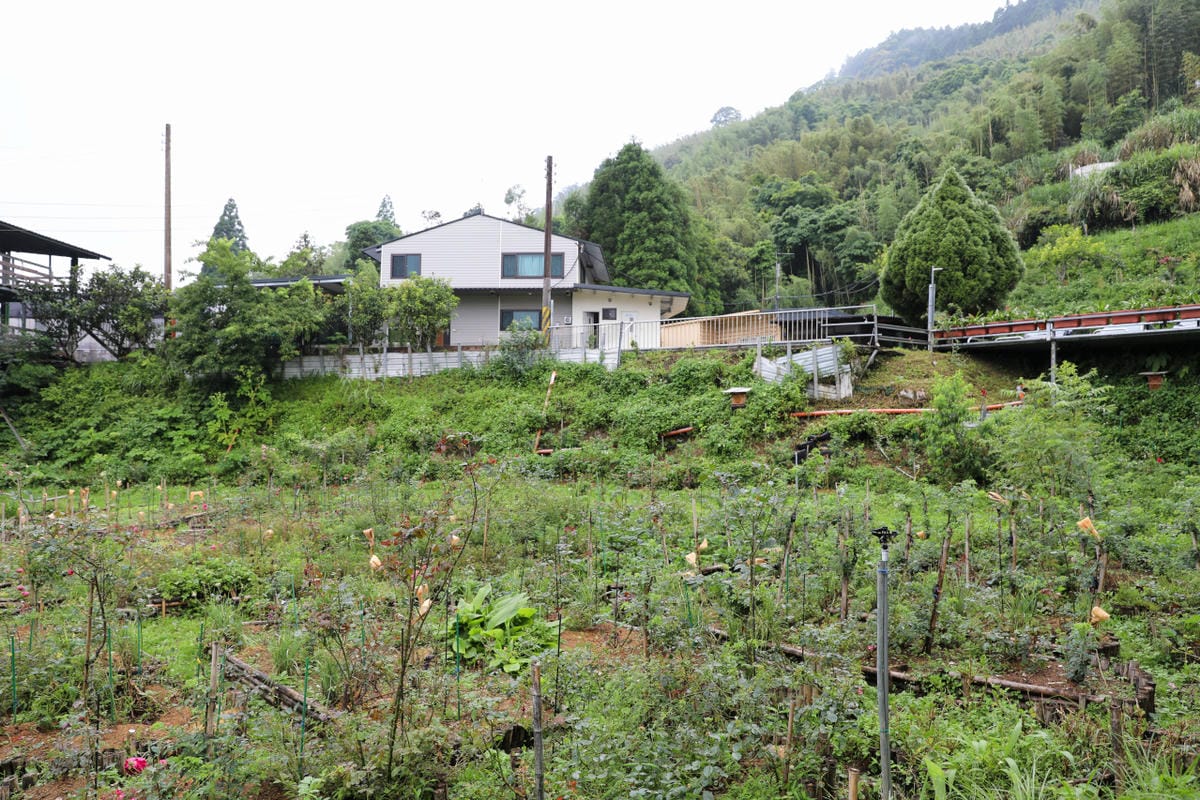 蟬說2026櫻花季開跑~新竹露營｜新竹豪華露營 蟬說：霧語 一泊二食免裝備露營首推蟬說！高海拔、生態環境佳，可賞櫻花跟螢火蟲唷~