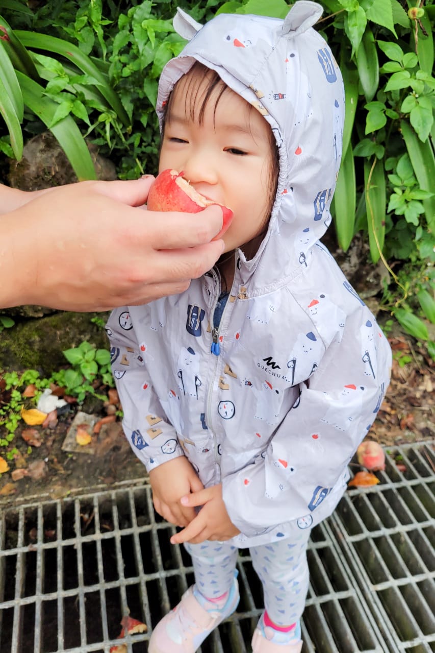 蟬說2026櫻花季開跑~新竹露營｜新竹豪華露營 蟬說：霧語 一泊二食免裝備露營首推蟬說！高海拔、生態環境佳，可賞櫻花跟螢火蟲唷~