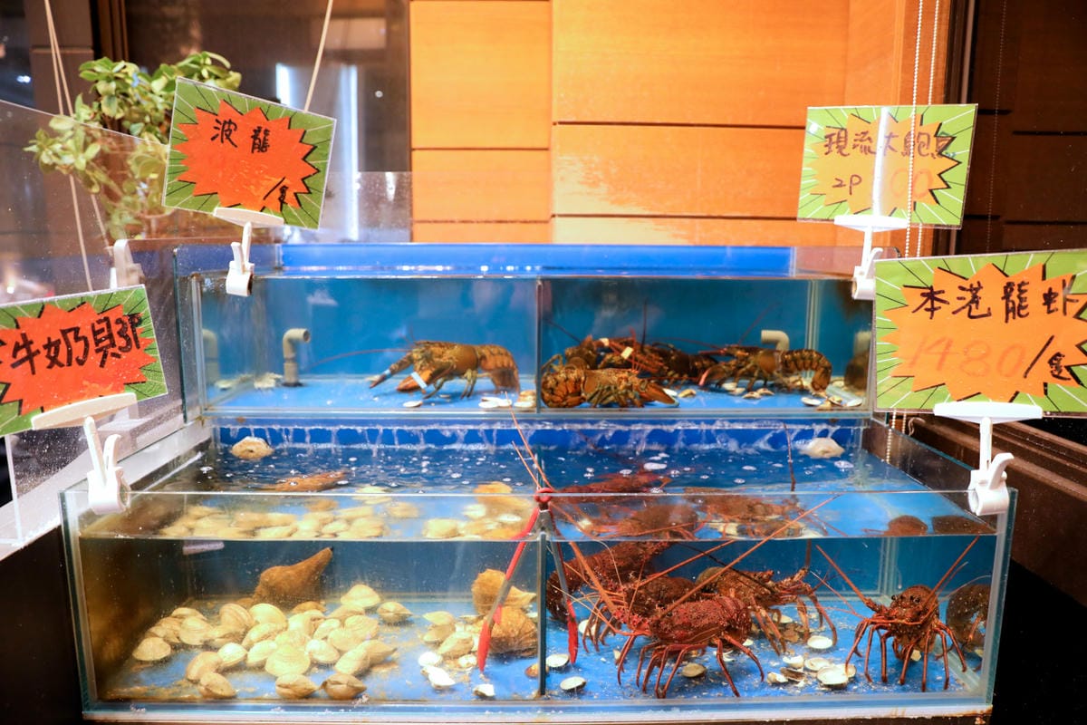 桃園食記｜食鍋性也 海鮮鍋物 青埔美食、親子友善餐廳、火鍋推薦！海鮮蛤蜊湯頭+199升級肉品吃到飽