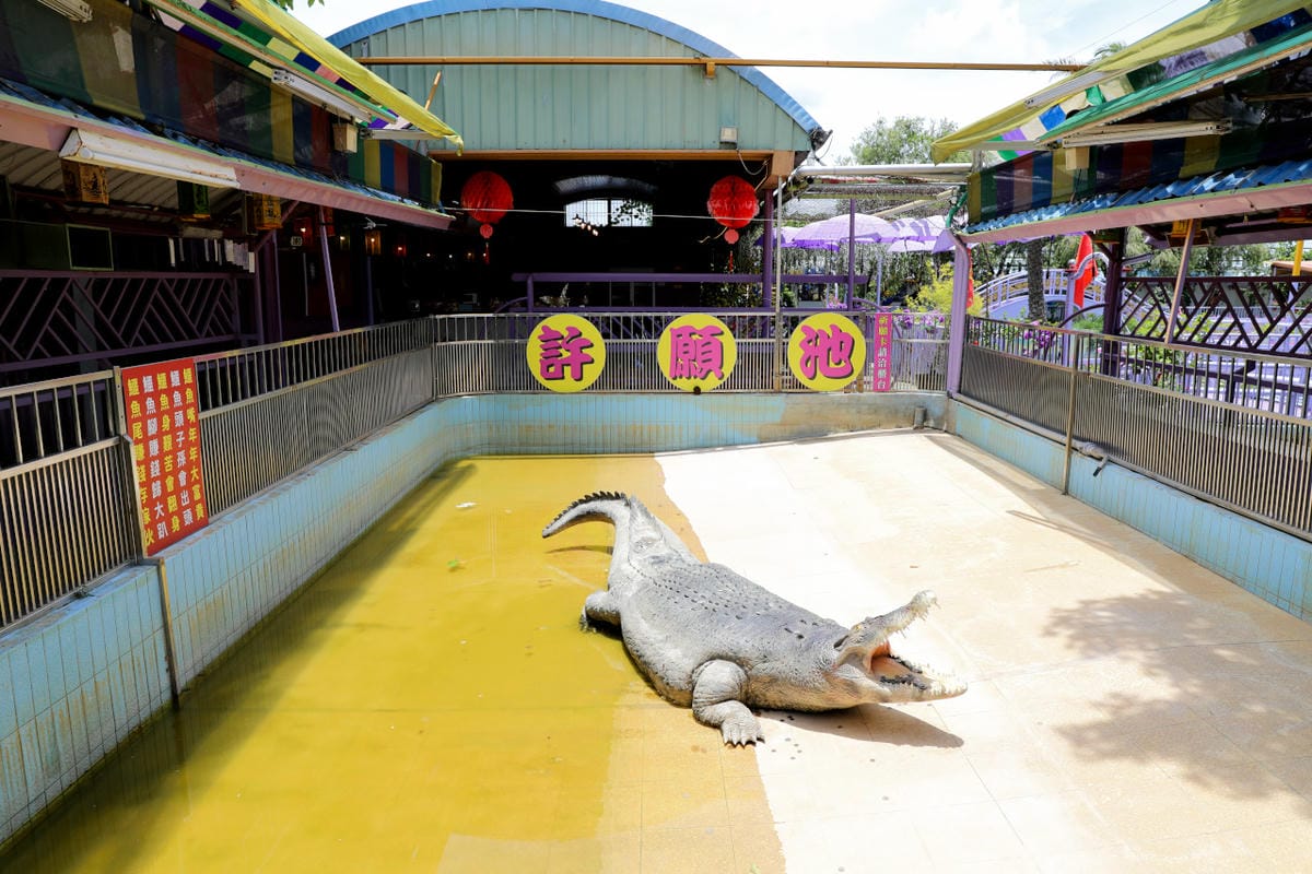 台南食記｜2023台南最新景點推薦！紫色水漾越南休閒村（原鱷魚王蓮花休閒村）道地越式料理 火鍋、烤肉，門票可兌換飲品或越南服飾租借