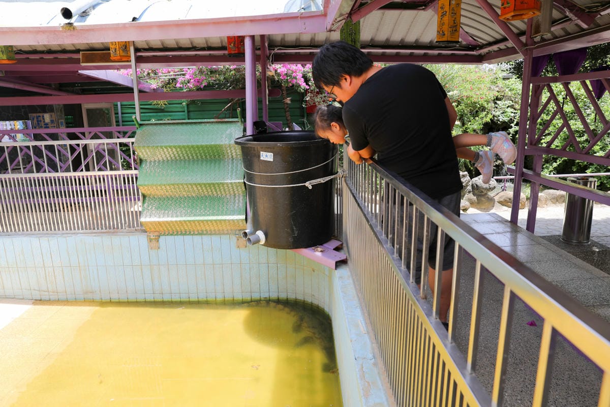 台南食記｜2023台南最新景點推薦！紫色水漾越南休閒村（原鱷魚王蓮花休閒村）道地越式料理 火鍋、烤肉，門票可兌換飲品或越南服飾租借