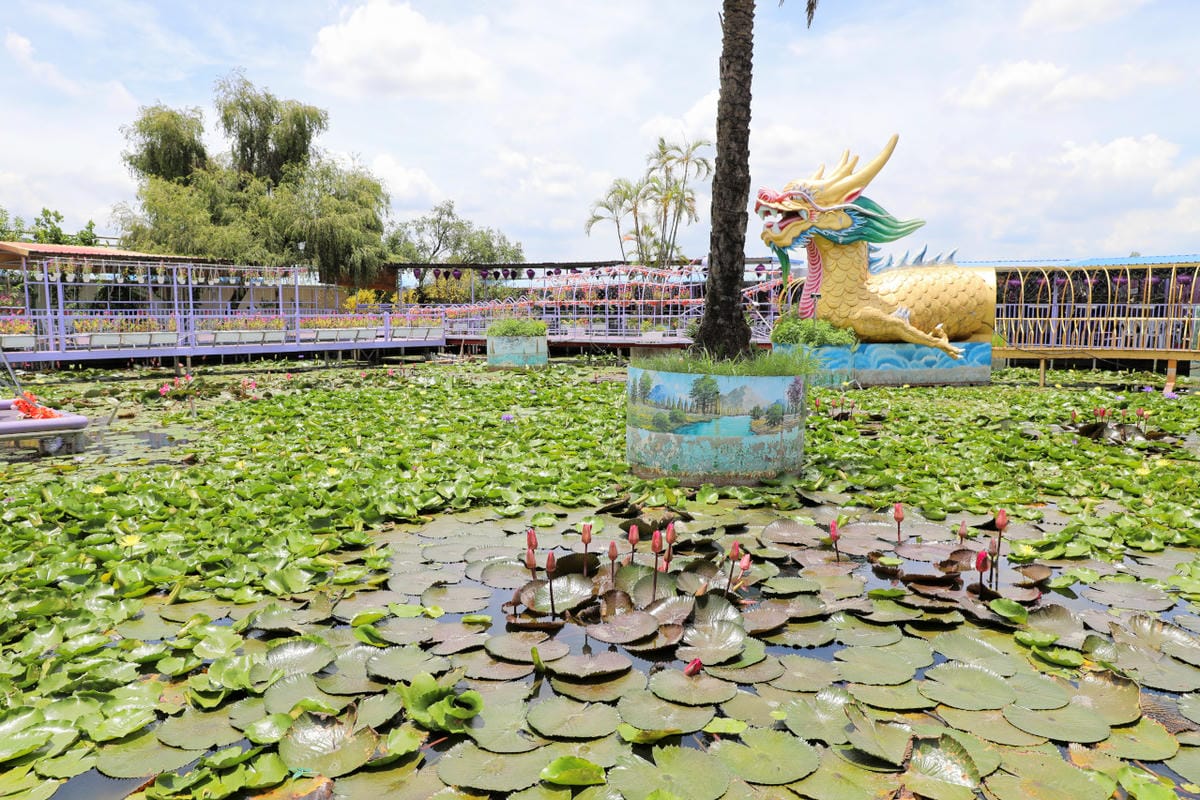 台南食記｜2023台南最新景點推薦！紫色水漾越南休閒村（原鱷魚王蓮花休閒村）道地越式料理 火鍋、烤肉，門票可兌換飲品或越南服飾租借