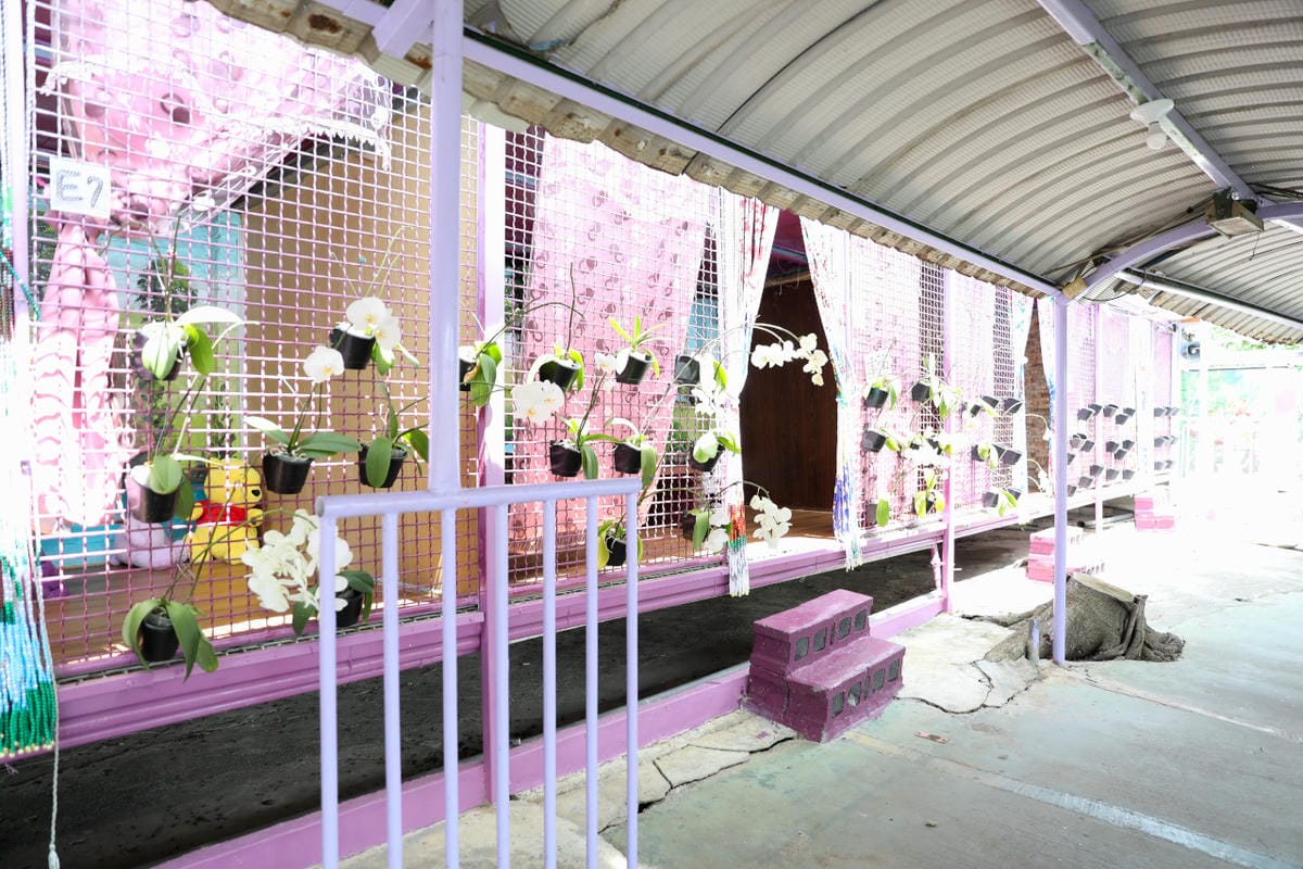 台南食記｜2023台南最新景點推薦！紫色水漾越南休閒村（原鱷魚王蓮花休閒村）道地越式料理 火鍋、烤肉，門票可兌換飲品或越南服飾租借