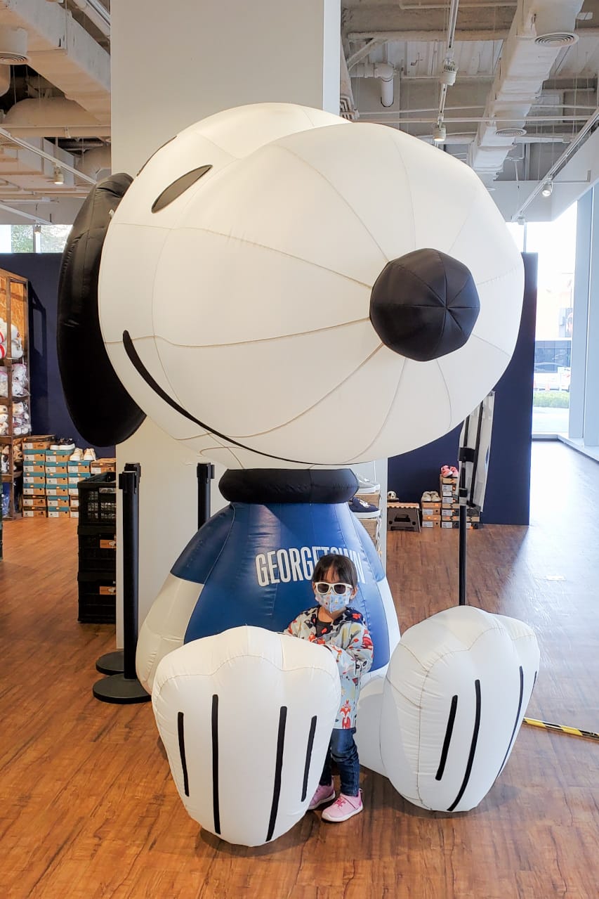 收藏｜PEANUTS 史努比SNOOPY周邊商品 限量公仔、衣服、帽子、折疊傘、餐盤等生活用品