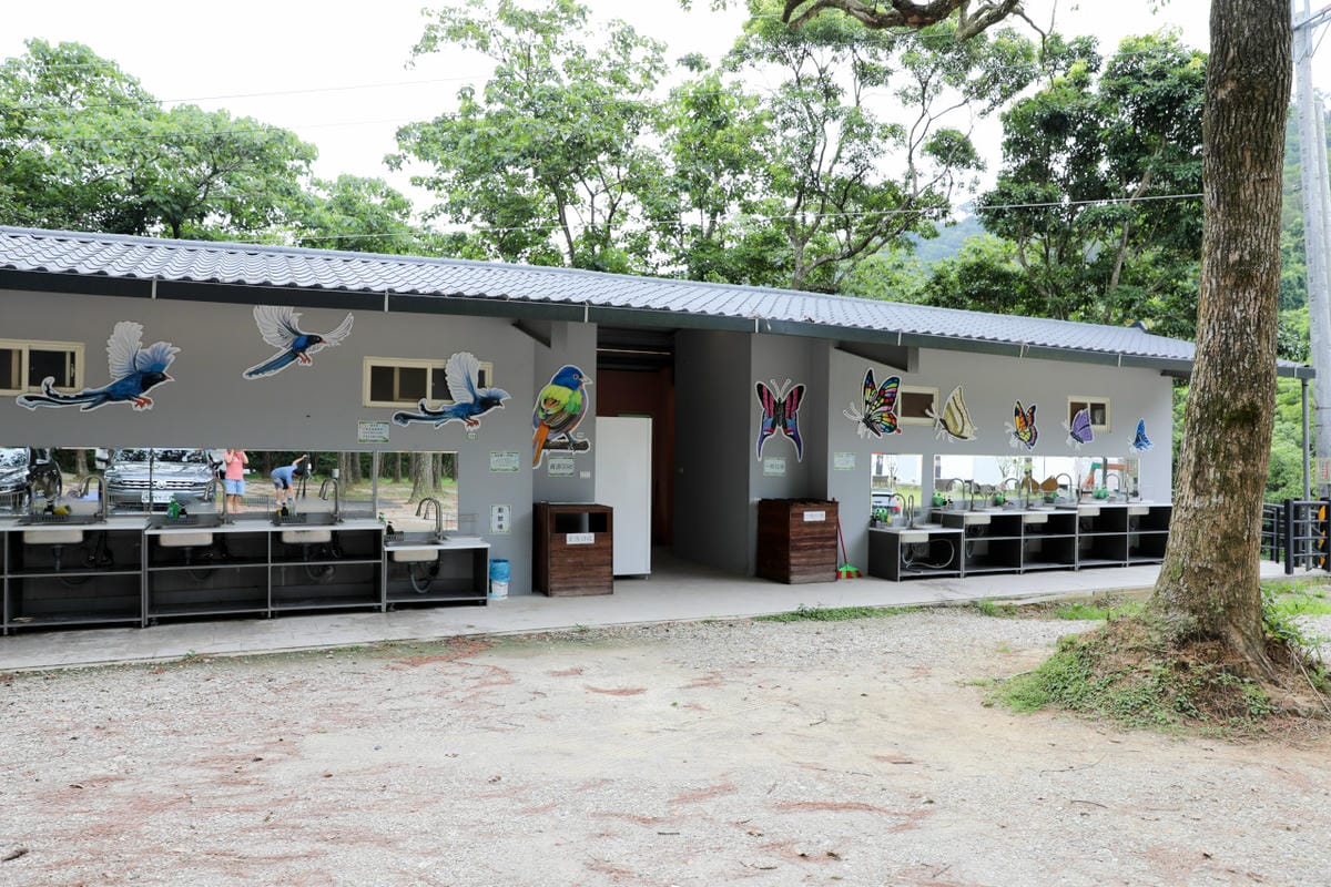 桃園露營｜龍潭露營區 休旅家梧桐心境露營區 松林下露營，桃園豪華露營車！豐富自然生態 桃園親子露營推薦！