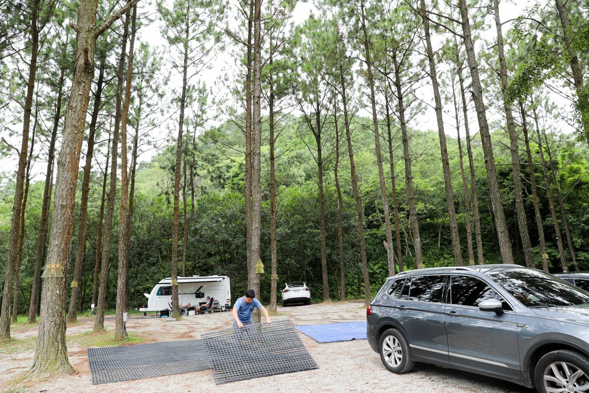 桃園露營｜龍潭露營區 休旅家梧桐心境露營區 松林下露營，桃園豪華露營車！豐富自然生態 桃園親子露營推薦！