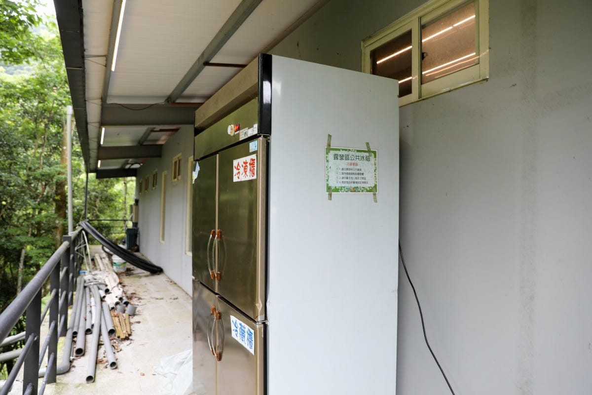 桃園露營｜龍潭露營區 休旅家梧桐心境露營區 松林下露營，桃園豪華露營車！豐富自然生態 桃園親子露營推薦！