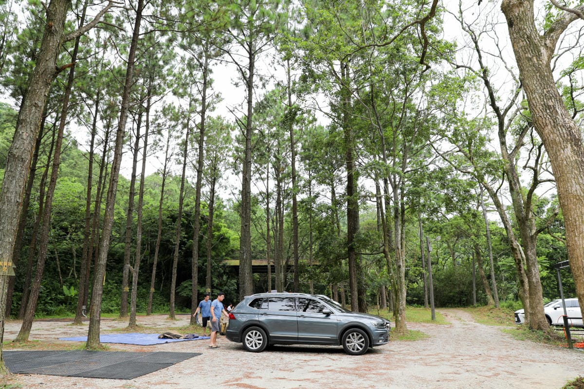 桃園露營｜龍潭露營區 休旅家梧桐心境露營區 松林下露營，桃園豪華露營車！豐富自然生態 桃園親子露營推薦！