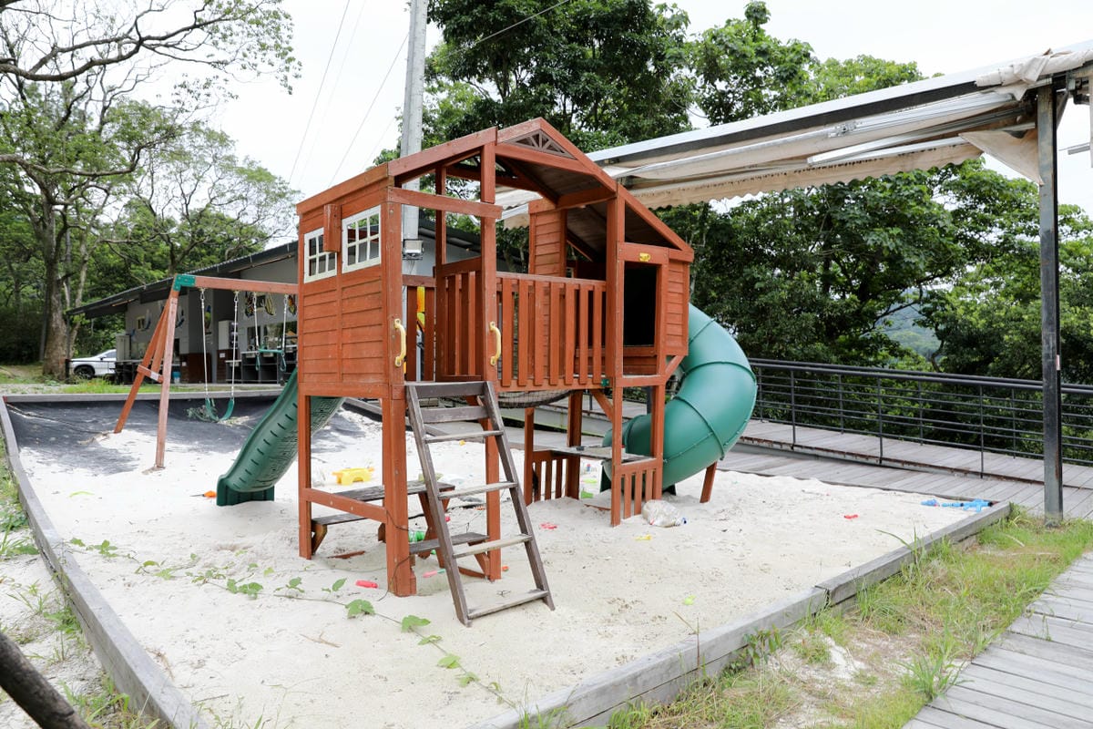 桃園露營｜龍潭露營區 休旅家梧桐心境露營區 松林下露營，桃園豪華露營車！豐富自然生態 桃園親子露營推薦！