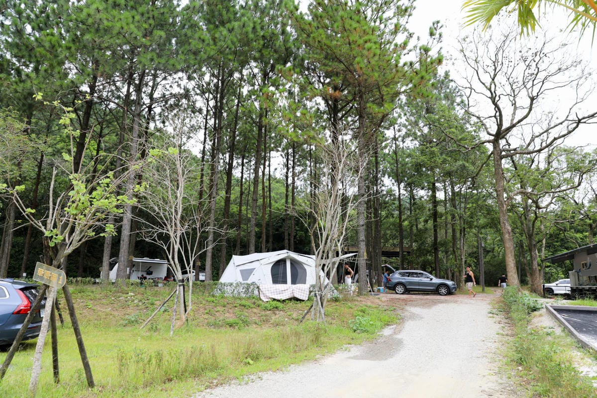 桃園露營｜龍潭露營區 休旅家梧桐心境露營區 松林下露營，桃園豪華露營車！豐富自然生態 桃園親子露營推薦！