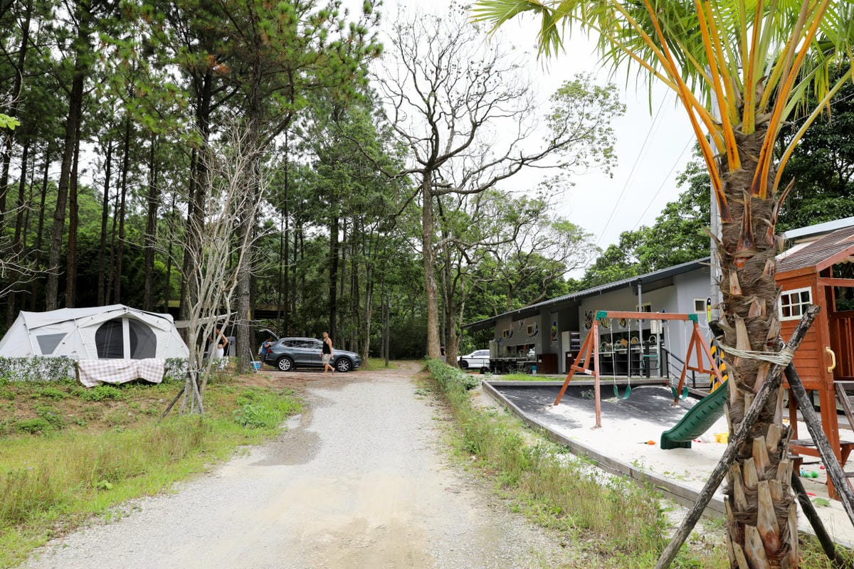 桃園露營｜龍潭露營區 休旅家梧桐心境露營區 松林下露營，桃園豪華露營車！豐富自然生態 桃園親子露營推薦！