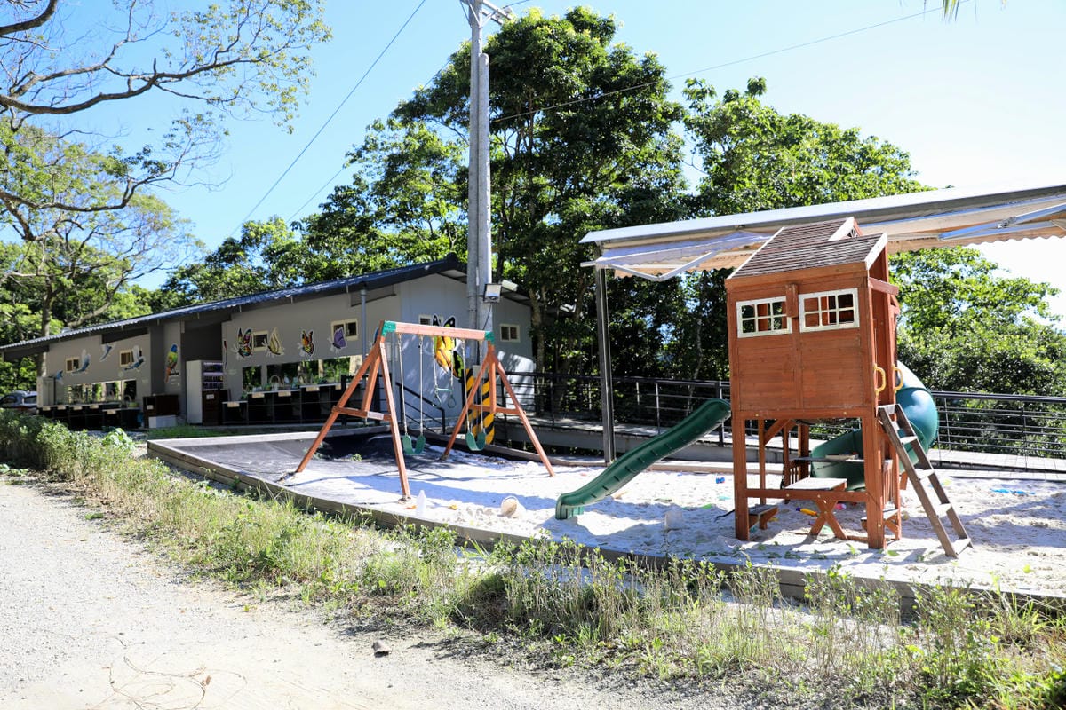 桃園露營｜龍潭露營區 休旅家梧桐心境露營區 松林下露營，桃園豪華露營車！豐富自然生態 桃園親子露營推薦！