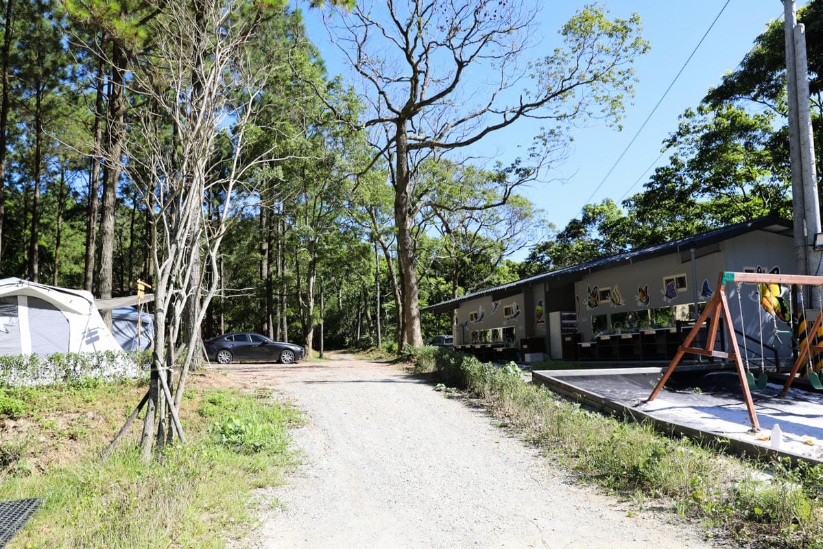 桃園露營｜龍潭露營區 休旅家梧桐心境露營區 松林下露營，桃園豪華露營車！豐富自然生態 桃園親子露營推薦！