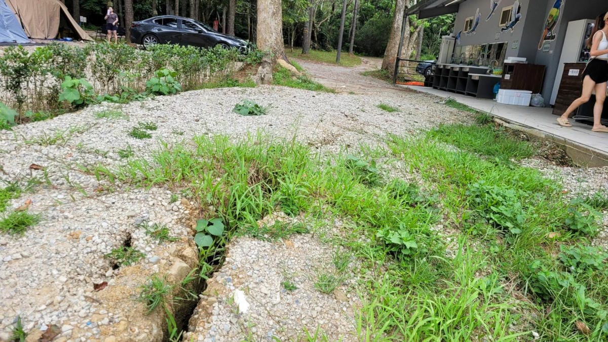 桃園露營｜龍潭露營區 休旅家梧桐心境露營區 松林下露營，桃園豪華露營車！豐富自然生態 桃園親子露營推薦！