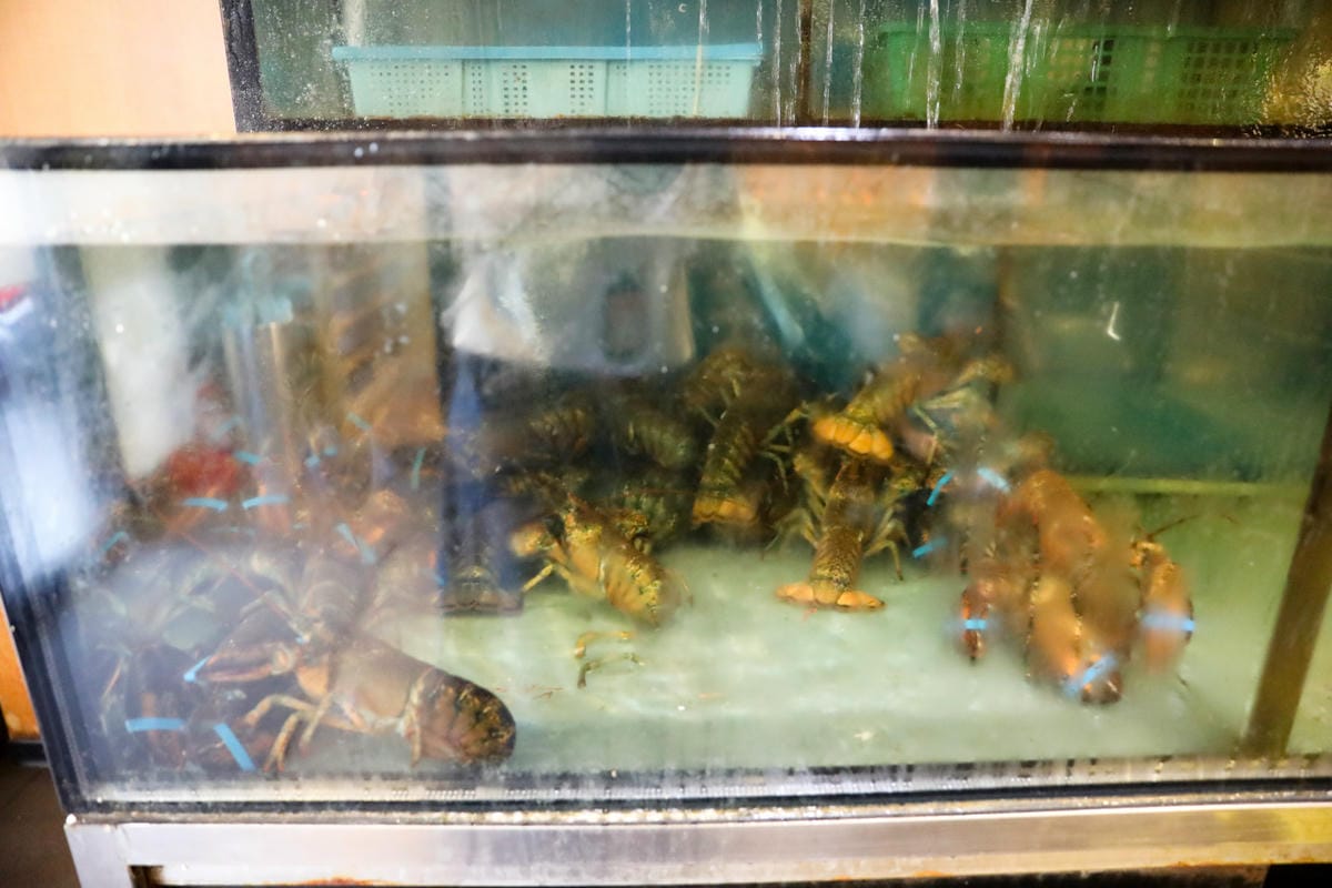 台北食記|明水然(松山慶城店)台北10大知名私廚鐵板燒,約會慶生餐廳推薦!高CP值活波士頓龍蝦海陸套餐 - 第4張圖 台北食記|明水然(松山慶城店)台北10大知名私廚鐵板燒,約會慶生餐廳推薦!高CP值活波士頓龍蝦海陸套餐