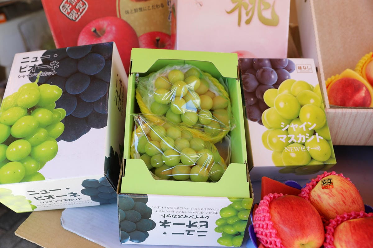 台北食記|2023四平愛揪購物節 四平陽光商圈懶人包 美食小吃購物推薦店家!吳記港式油雞炒飯、饅好吃炸饅頭、四平陽光豆花冰品、玩味咖啡、鹿璞茶事 - 第61張圖 台北食記|2023四平愛揪購物節 四平陽光商圈懶人包 美食小吃購物推薦店家!吳記港式油雞炒飯、饅好吃炸饅頭、四平陽光豆花冰品、玩味咖啡、鹿璞茶事