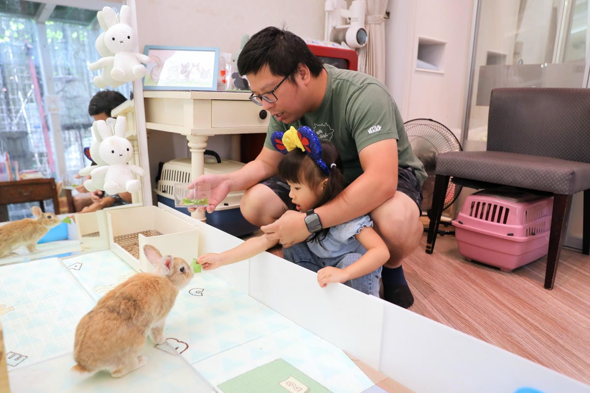 台中食記|北屯親子寵物友善餐廳推薦!(兔奴俱樂部)綠萼159地中海南法料理 台中超美綠意歐風餐廳,還有超可愛的兔子唷~ - 第12張圖 台中食記|北屯親子寵物友善餐廳推薦!(兔奴俱樂部)綠萼159地中海南法料理 台中超美綠意歐風餐廳,還有超可愛的兔子唷~