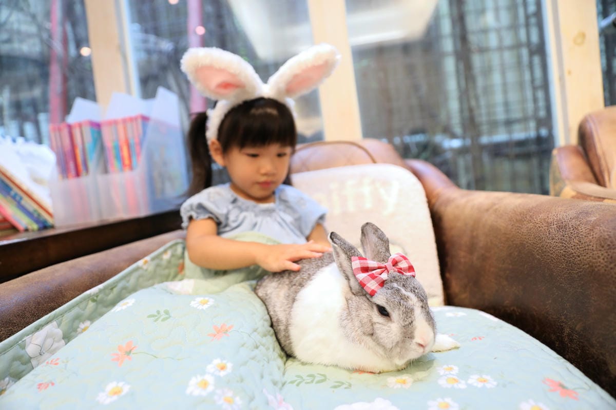 台中食記|北屯親子寵物友善餐廳推薦!(兔奴俱樂部)綠萼159地中海南法料理 台中超美綠意歐風餐廳,還有超可愛的兔子唷~ - 第38張圖 台中食記|北屯親子寵物友善餐廳推薦!(兔奴俱樂部)綠萼159地中海南法料理 台中超美綠意歐風餐廳,還有超可愛的兔子唷~