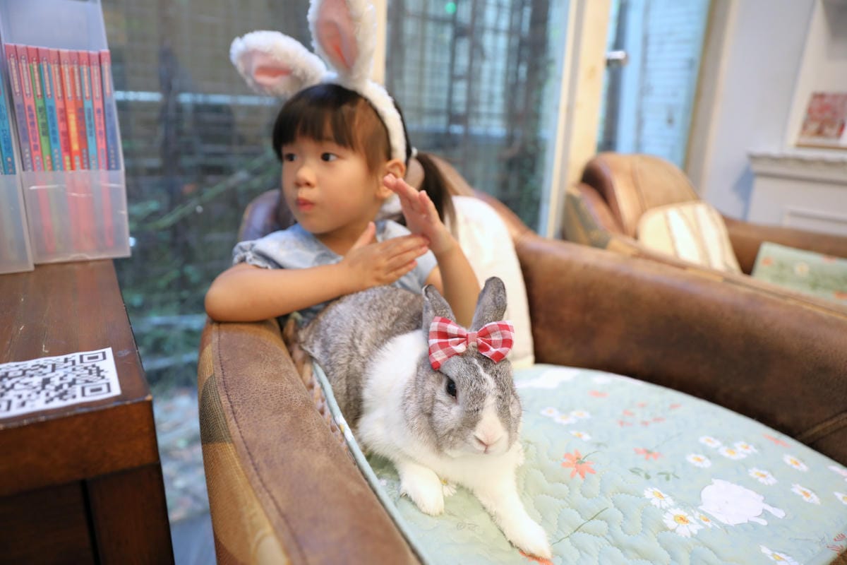 台中食記|北屯親子寵物友善餐廳推薦!(兔奴俱樂部)綠萼159地中海南法料理 台中超美綠意歐風餐廳,還有超可愛的兔子唷~ - 第39張圖 台中食記|北屯親子寵物友善餐廳推薦!(兔奴俱樂部)綠萼159地中海南法料理 台中超美綠意歐風餐廳,還有超可愛的兔子唷~