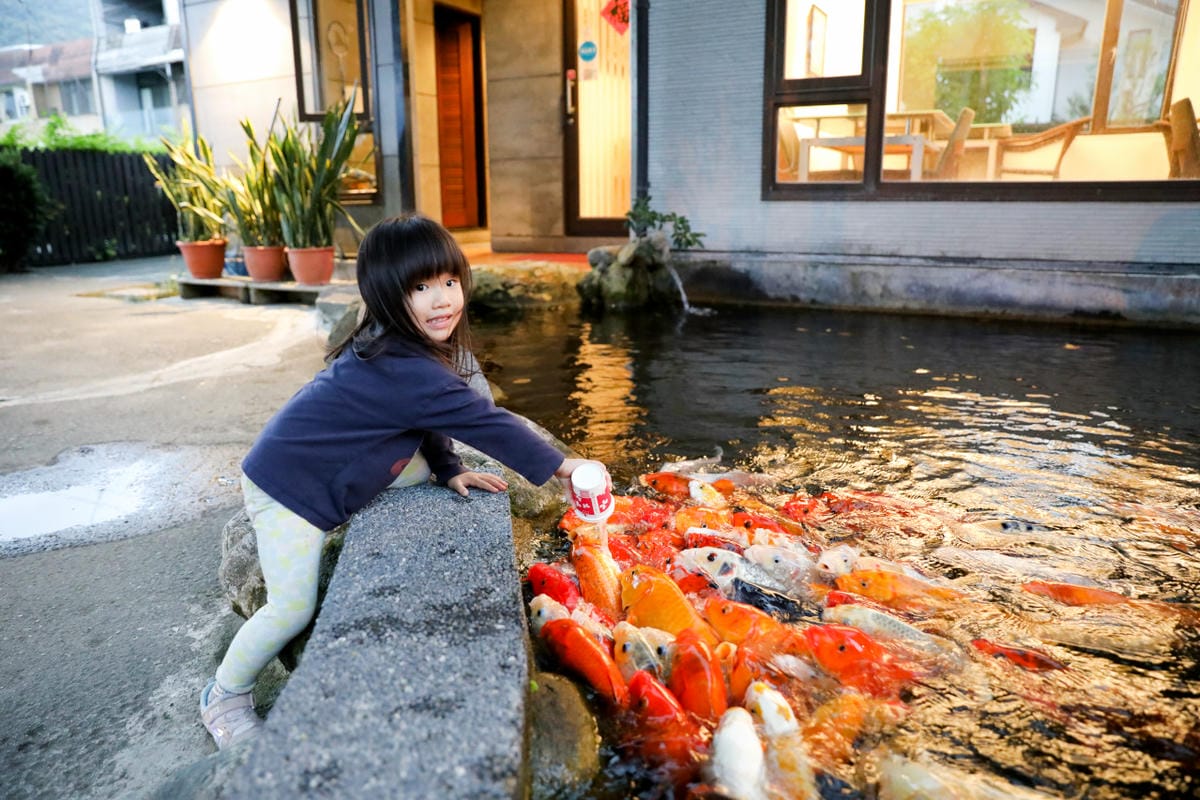 花蓮民宿｜花蓮吉安鄉綠色隧道民宿 金澤居 花蓮親子住宿推薦！親子友善，孩子最喜歡的餵魚民宿~