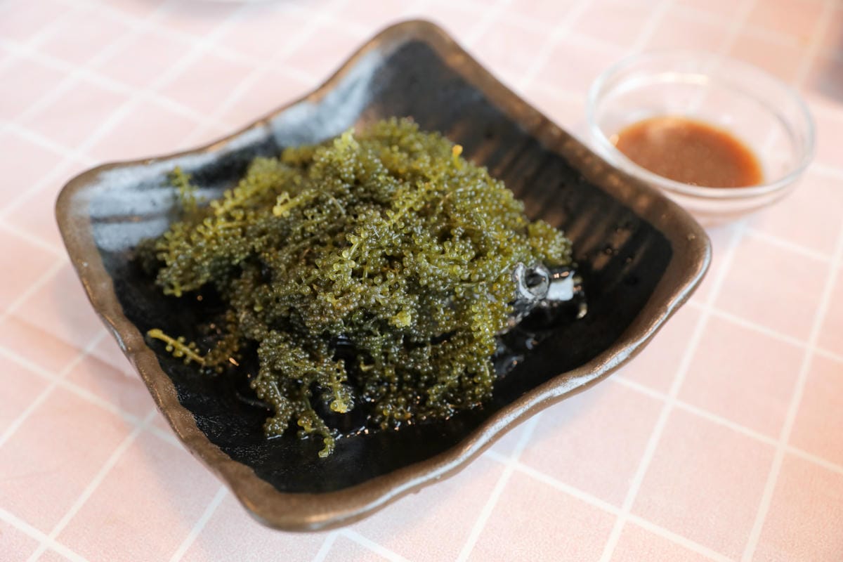 新北食記｜東北角海洋牧場景觀餐廳 貢寮九孔鮑魚專賣店推薦！無敵海景配上活鮑魚火鍋、乾煎鮑魚，極為享受～