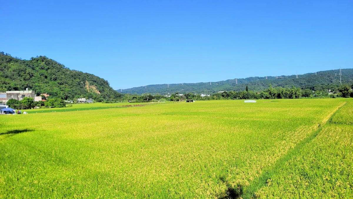 公益活動｜藍迪兒童之家助養計畫推廣！藍迪基金會「心繫孩子希望有您 」挖呀挖-助養人嘉年華