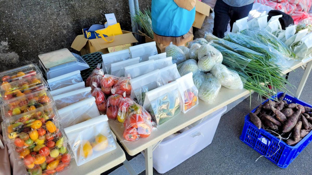 公益活動｜藍迪兒童之家助養計畫推廣！藍迪基金會「心繫孩子希望有您 」挖呀挖-助養人嘉年華