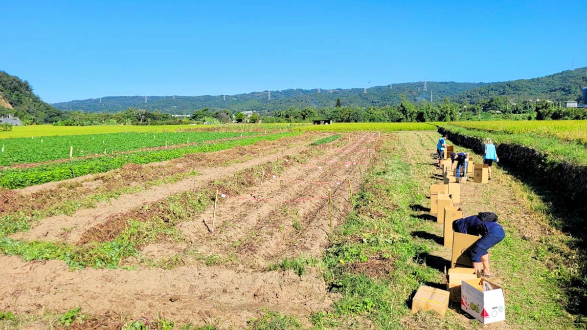 公益活動｜藍迪兒童之家助養計畫推廣！藍迪基金會「心繫孩子希望有您 」挖呀挖-助養人嘉年華