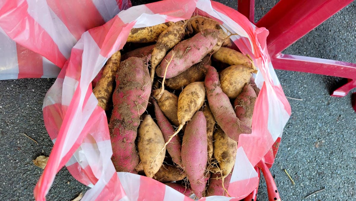 公益活動｜藍迪兒童之家助養計畫推廣！藍迪基金會「心繫孩子希望有您 」挖呀挖-助養人嘉年華