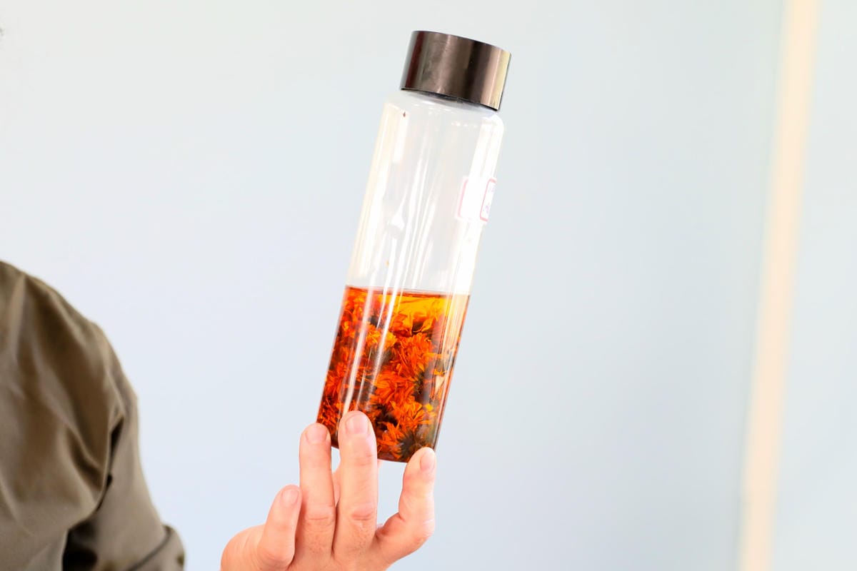 新竹旅遊|香草森林農遊軸帶-杉沐松農場 金盞花手工香皂DIY 新竹尖石親子一日遊行程推薦!合興愛情車站搭乘蒸汽小火車 - 第9張圖 新竹旅遊|香草森林農遊軸帶-杉沐松農場 金盞花手工香皂DIY 新竹尖石親子一日遊行程推薦!合興愛情車站搭乘蒸汽小火車