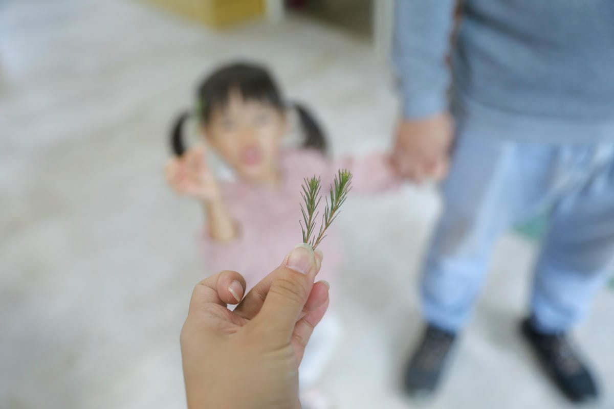 新竹旅遊|香草森林農遊軸帶-杉沐松農場 金盞花手工香皂DIY 新竹尖石親子一日遊行程推薦!合興愛情車站搭乘蒸汽小火車 - 第24張圖 新竹旅遊|香草森林農遊軸帶-杉沐松農場 金盞花手工香皂DIY 新竹尖石親子一日遊行程推薦!合興愛情車站搭乘蒸汽小火車