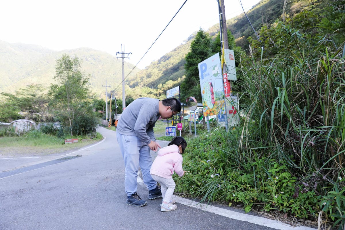 新竹旅遊|香草森林農遊軸帶-杉沐松農場 金盞花手工香皂DIY 新竹尖石親子一日遊行程推薦!合興愛情車站搭乘蒸汽小火車 - 第26張圖 新竹旅遊|香草森林農遊軸帶-杉沐松農場 金盞花手工香皂DIY 新竹尖石親子一日遊行程推薦!合興愛情車站搭乘蒸汽小火車