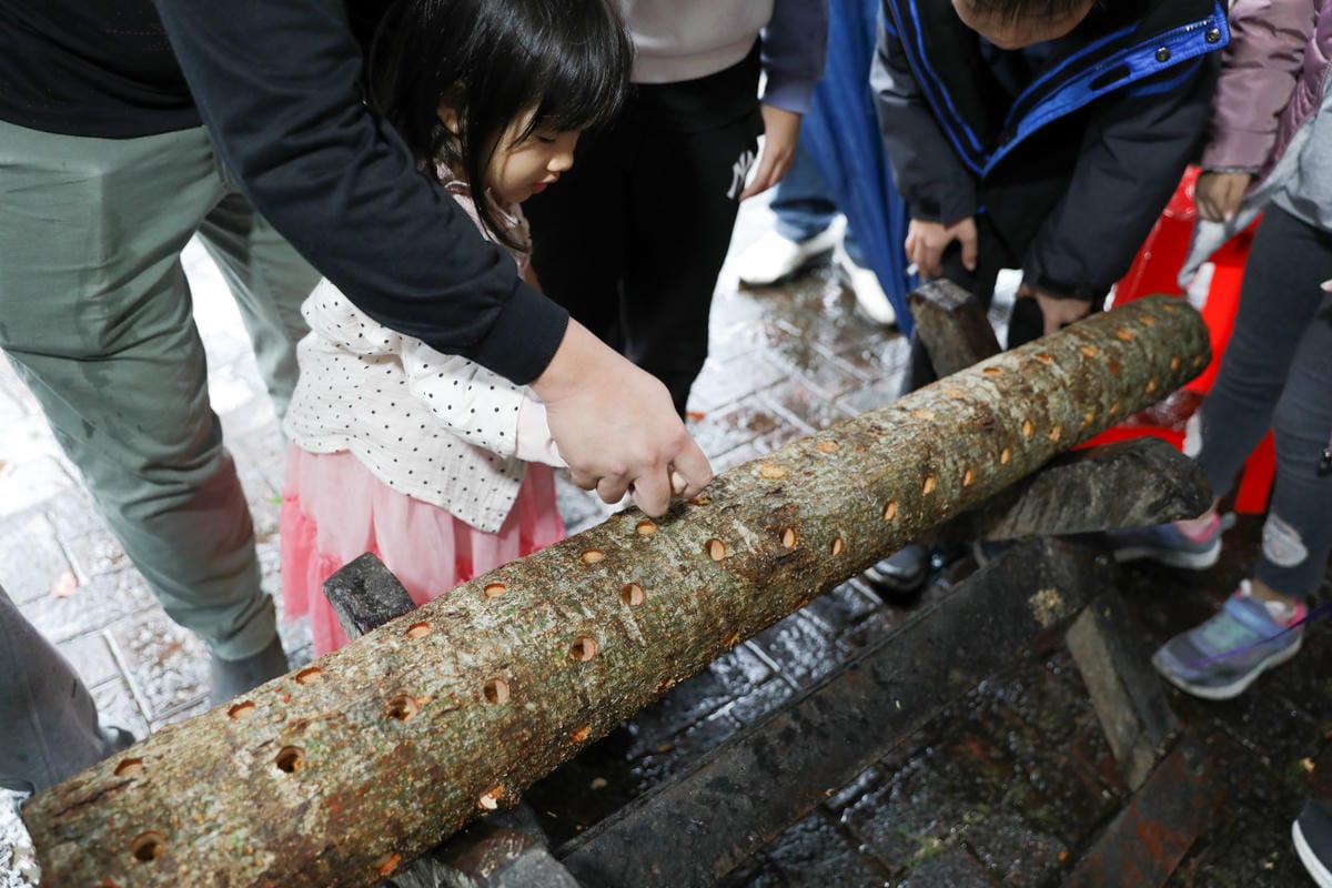 宜蘭旅遊｜2023野山菇南澳香菇野餐節 全國段木香菇評鑑競賽、創意市集、DIY活動