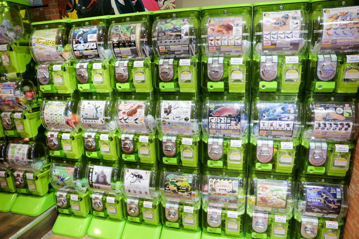 台北玩具店|台北車站玩具店推薦!宅神爺玩具專賣店 動漫迷的天堂,GK一番賞、扭蛋、公仔、盲盒 - 第23張圖 台北玩具店|台北車站玩具店推薦!宅神爺玩具專賣店 動漫迷的天堂,GK一番賞、扭蛋、公仔、盲盒