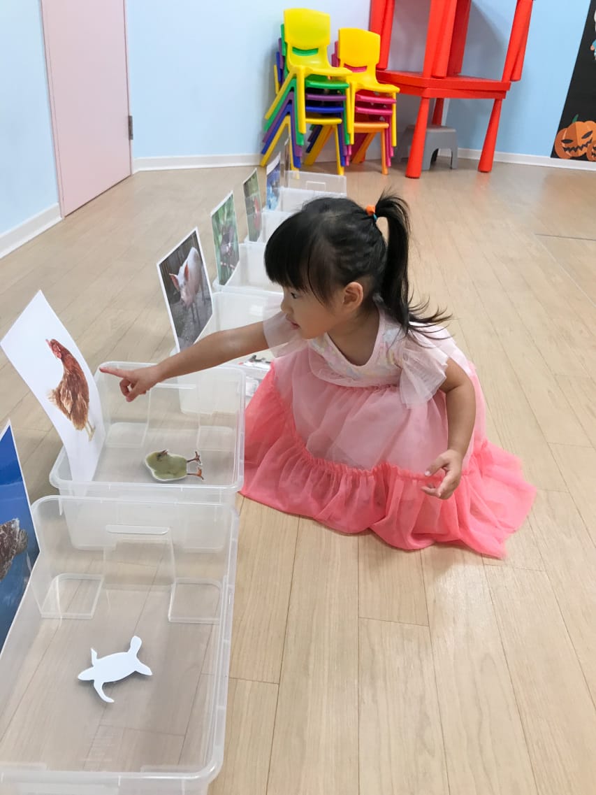 親子育兒｜新北板橋《共玩谷親子玩習所》爸比媽咪最需要的育兒好幫手！幼稚園學前班課程，PG親子共學活動推薦！