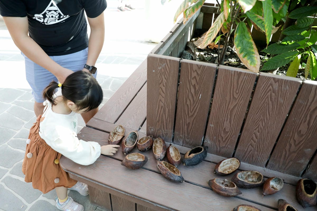 雲林旅遊|雲林景點推薦!土庫驛可可莊園 巧克力專賣店 台灣生巧克力、義式冰淇淋推薦! - 第29張圖 雲林旅遊|雲林景點推薦!土庫驛可可莊園 巧克力專賣店 台灣生巧克力、義式冰淇淋推薦!